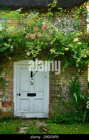 Typisches englisches Dorfhäuschen, Tür mit Blumen, die nachwachsen. Wiltshire, England, Großbritannien. Stockfoto