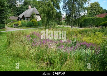 Eine typische englische Dorfszene mit einem strohgedeckten Cottage und einem überwucherten Dorfteich. Stockfoto