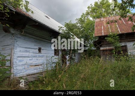 Alte Holzwohnungen, ein kleiner Bauernhof, jetzt stillgelegt und überwuchert. Blau lackiert in traditioneller Farbe. Sumiac, Bezirk Brezno, Slowakei, August 2023. 2020s HOMER SYKES Stockfoto