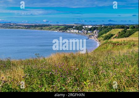 Blick auf Filey von Filey Brigg an einem sonnigen Morgen in North Yorkshire Stockfoto