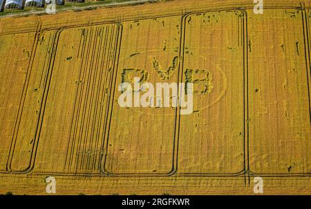 Luftaufnahme, Symbole und Schilder in einem Feld, BVB-Logo, Bönninghauser Straße, Hostedde, Dortmund, Ruhrgebiet, Nordrhein-Westfalen, Deutschland Stockfoto