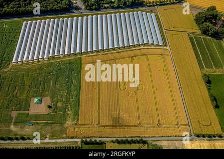 Luftaufnahme, Symbole und Schilder in einem Feld, Smiley, Heart und BVB Logo, Erdbeeranbau unter Folie, Bönninghauser Straße, Hostedde, Dortmund, Ru Stockfoto