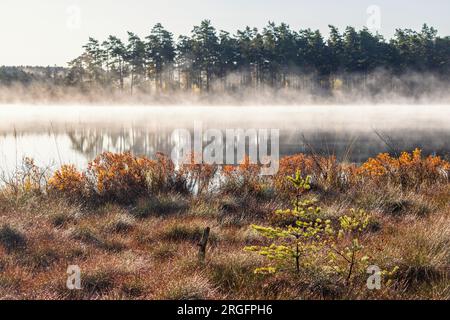 Wunderschöner Morgennebel auf einem See im Herbst Stockfoto