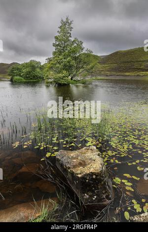 Teich in einem verlassenen Steinbruch, der von der Natur bei starkem Regen langsam zurückgewonnen wird, Bollihope, Weardale, County Durham, Großbritannien Stockfoto