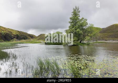 Teich in einem verlassenen Steinbruch, der von der Natur bei starkem Regen langsam zurückgewonnen wird, Bollihope, Weardale, County Durham, Großbritannien Stockfoto