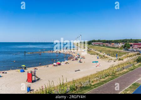 Überwucherte Sanddünen auf der deutschen Nordseeinsel Sylt Stockfoto