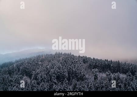 Deutschland, wunderschöne schneebedeckte Bäume im endlosen schwarzwald Naturlandschaft Panoramablick aus der Vogelperspektive bei freiburg im breisgau Stockfoto