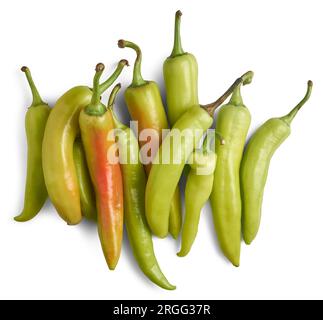 Ein Haufen Bananenpaprika, isoliert auf weißem Hintergrund, Capsicum annuum, beliebter Chili-Pfeffer, lang, geschwungen, leicht hitzebeständig und würzig Stockfoto