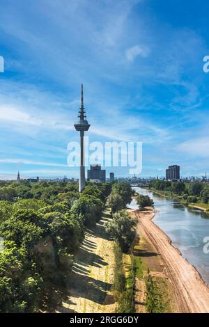 Blick auf den Fernmeldeturm und den Neckar in Mannheim. TV-Fernmeldezentrale. Vertikal mit Kopierbereich. Stockfoto