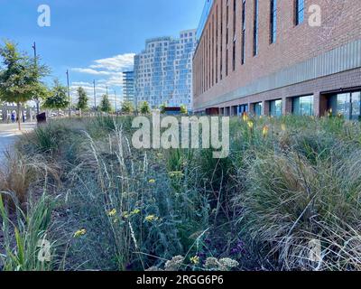 Außenansicht des Kraftwerks battersea mit neu gebauten, teuren Wohnungen und Pflanzbeeten südlich von london, england, großbritannien Stockfoto