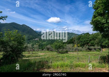 Steile bewaldete Hänge mit verstreuten Dörfern und Olivenhainen zwischen den Tälern der Flüsse Serchio und Magra in den Apuan-Alpen, einem Gebirgszug n Stockfoto