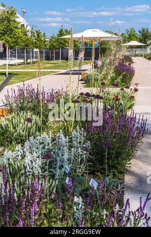 Farbenfrohe Frühlingsblumen in einem Landschaftspark. Vertikal. Stockfoto