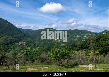 Steile bewaldete Hänge mit verstreuten Dörfern und Olivenhainen zwischen den Tälern der Flüsse Serchio und Magra in den Apuan-Alpen, einer Bergkette Stockfoto