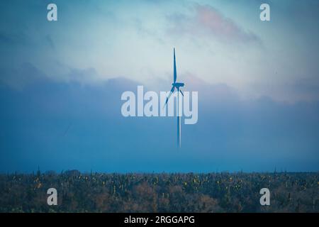 Elektrischer Windturbinenpropeller, der auf nebeligem Sonnenaufgang auf landwirtschaftlich genutzten Feldern arbeitet Stockfoto