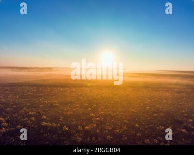 Luftaufnahme über landwirtschaftliche Weizenfelder, wunderschöner Sonnenaufgang auf dem Land mit Morgennebel Stockfoto
