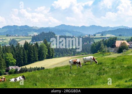 Panoramablick über die Landschaft des Naturschutzgebiets Entlebuch Biosphere am Fuß der Alpen zwischen Bern und Luzern im Schweizer Kanton Luzern, jetzt seco Stockfoto