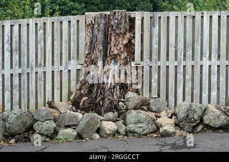 Gartenzaun, passend für den Stamm eines heruntergegeschnittenen Baumes Stockfoto