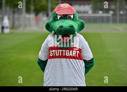 Stuttgart, Deutschland. 09. Aug. 2023. Fußball 1. Bundesliga: Fotosession VfB Stuttgart für die Saison 2023/24 auf dem VfB-Trainingsgelände: Maskottchen Fritzle. Kredit: Jan-Philipp Strobel/dpa/Alamy Live News Stockfoto