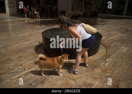 Eine Frau kühlt ihren Hund an einem Springbrunnen während eines heißen Sommertags ab, inmitten der dritten Hitzewelle. Spanien hat eine Episode von hohen Temperaturen im ganzen Land mit mehr als 40 Grad, besonders in einer andalusischen Region, wo die Temperaturen laut der Wetterbehörde AEMET 44 Grad erreichen werden. Stockfoto