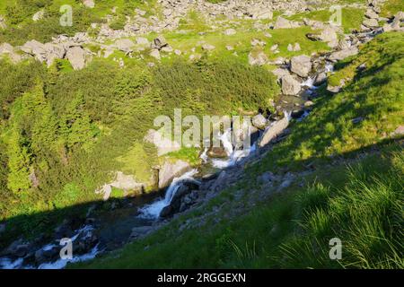 Landschaft mit Fluss. Bäume und Steine entlang der Küste den Hügel hinunter. Blick von oben Stockfoto