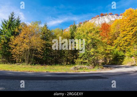 Asphaltstraße im rumänischen Gebirge. Ausflug durch den Apueni-Nationalpark im Herbst. Bäume im Herbstlaub in der Nähe der Felsen Stockfoto