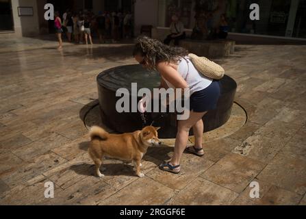 Malaga, Spanien. 09. Aug. 2023. Eine Frau kühlt ihren Hund an einem Springbrunnen während eines heißen Sommertags ab, inmitten der dritten Hitzewelle. Spanien hat eine Episode von hohen Temperaturen im ganzen Land mit mehr als 40 Grad, besonders in einer andalusischen Region, wo die Temperaturen laut der Wetterbehörde AEMET 44 Grad erreichen werden. (Foto: Jesus Merida/SOPA Images/Sipa USA) Guthaben: SIPA USA/Alamy Live News Stockfoto