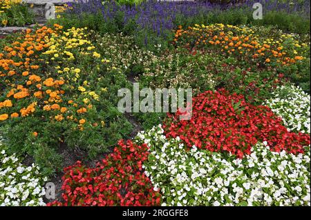 Köln, Deutschland. 09. Aug. 2023. Blumenbeet mit bunten Blumen. Kredit: Horst Galuschka/dpa/Alamy Live News Stockfoto