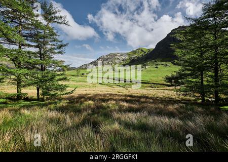 Schiefermine in Snowdonia NP in Wales Stockfoto