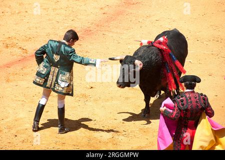 Corrida de Toros de rejones en La Maestranza de Sevilla Stockfoto