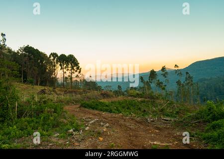 Sonnenaufgang im Carapina-Tal - Landschaft von Sao Francisco de Paula, Brasilien Stockfoto