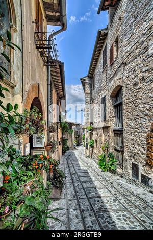 Stadt Spello, Umbrien, Italien. Charakteristische enge Kopfsteinpflasterstraße, flankiert von Häusern mittelalterlicher Herkunft. Stockfoto