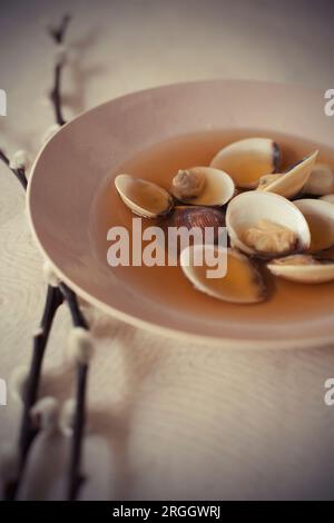 Schüssel von clam Suppe Stockfoto