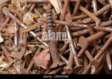 Alte Nägel und Schrauben in einer Schachtel. Stockfoto