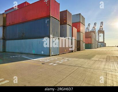 Containergebirge am Hafen von Felixstowe, England Stockfoto