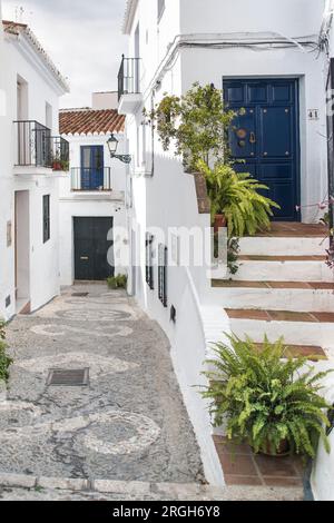 Topfpflanzen auf Schritte zum Haus Stockfoto