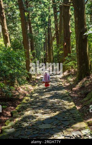 Kumano Kodo Pilgerweg. Daimon-zaka Hang. Jahrestag der japanischen Zeder. Präfektur Wakayama. Kii Halbinsel. Kansai Region. Honshü Insel. UNESCO-W Stockfoto