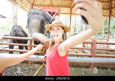 Junge Frau von selfie neben Elefanten in Ko Samui, Thailand Stockfoto