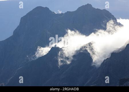Mystische Stimmung über einem Tal auf Madeira, umgeben von dichtem Wald. Stockfoto