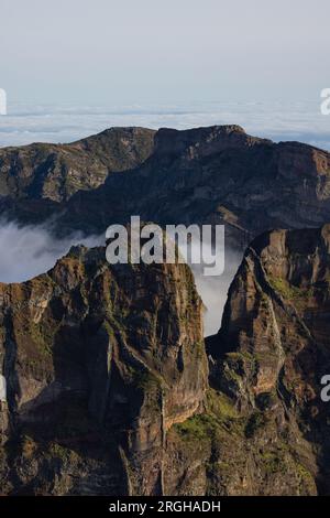 Mystische Stimmung über einem Tal auf Madeira, umgeben von dichtem Wald. Stockfoto