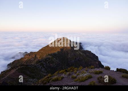 Toller Sonnenaufgang auf dem Pico do Arieiro in Madeira mit epischem Nebel rund um den Ninho da Manta. Stockfoto