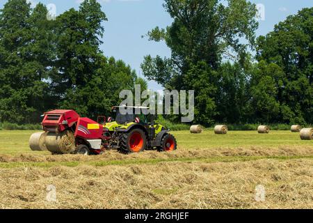 Das gemähte Gras wird in Heuballen gepresst Stockfoto