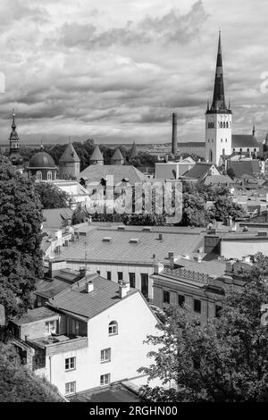 Patkuli Aussichtspunkt, Altstadt, Tallinn, Estland Stockfoto