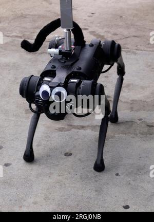 Hollywood, Kalifornien, USA. 9. Aug. 2023. Atmosphäre im WGA100 Days Strike vor den Paramount Studios und Netflix in den Paramount Studios und Netflix in Hollywood, Kalifornien, am 9. August 2023. Kredit: Faye Sadou/Media Punch/Alamy Live News Kredit: MediaPunch Inc/Alamy Live News Stockfoto