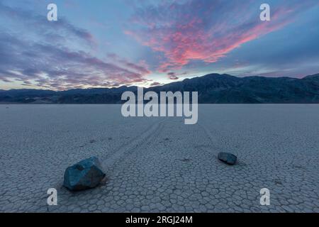 Bewegliche Felsen bei Sonnenaufgang, die Rennstrecke, Death Valley, Kalifornien Stockfoto