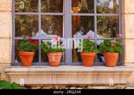 Geranien in Terrakotta-Töpfen auf der Fensterbank des Restaurants Sandy, Utah Stockfoto