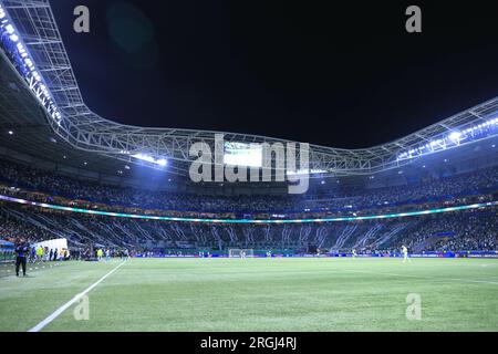 Sao Paulo, Brasilien. 10. Aug. 2023. SP - SAO PAULO - 09/08/2023 - LIBERTADORES 2023, PALMEIRAS X ATLETICO-MG - Palmeiras Fans während eines Spiels gegen Atletico-MG im Arena Allianz Parque Stadion für die Libertadores 2023 Meisterschaft. Foto: Ettore Chiereguini/AGIF/Sipa USA Guthaben: SIPA USA/Alamy Live News Stockfoto