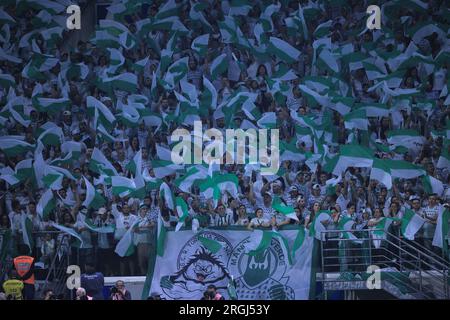 Sao Paulo, Brasilien. 10. Aug. 2023. SP - SAO PAULO - 08/09/2023 - LIBERTADORES 2023, PALMEIRAS X ATLETICO-MG - Palmeiras Fans während eines Spiels gegen Atletico-MG im Arena Allianz Parque Stadion für die Libertadores 2023 Meisterschaft. Foto: Ettore Chiereguini/AGIF/Sipa USA Guthaben: SIPA USA/Alamy Live News Stockfoto