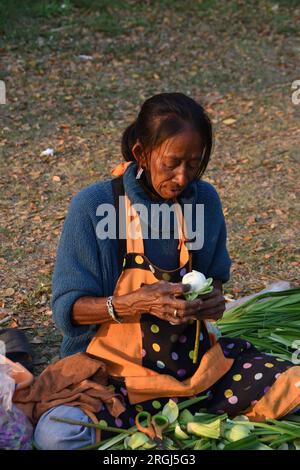 Ältere Thai-Frau sitzt auf dem Boden und faltet weiße Lotusblätter, die sich auf die buddhistische Zeremonie vorbereiten, Makha Bucha Tag in Thailand. Stockfoto