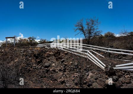 Hawi, HI, USA. 9. Aug. 2023. Der Brand in Akoni Pule im North Kohala District auf Hawai'i Island wurde am 9. August 2023 zu 60 Prozent eingedämmt. Die Wohngemeinde Kohala Ranch war gezwungen, die Gegend für etwa 24 Stunden zu evakuieren. Kredit: ZUMA Press, Inc./Alamy Live News Stockfoto