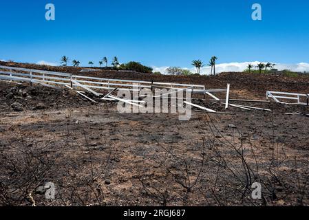 Hawi, HI, USA. 9. Aug. 2023. Der Brand in Akoni Pule im North Kohala District auf Hawai'i Island wurde am 9. August 2023 zu 60 Prozent eingedämmt. Die Wohngemeinde Kohala Ranch war gezwungen, die Gegend für etwa 24 Stunden zu evakuieren. Kredit: ZUMA Press, Inc./Alamy Live News Stockfoto